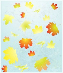 Naklejka na ściany i meble Autumnal background.Greeting card with maple leaves.