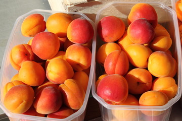 Bowls of apricots