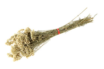 Medicinal herbs, milfoil (Achillea) © Aptyp_koK