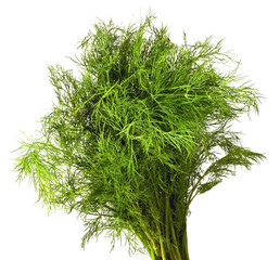 Dill