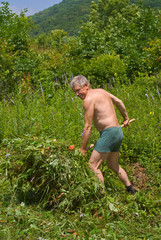 Man carrying grass 1
