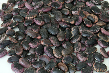 Käferbohnen verstreut