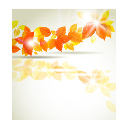 background autumn yellow leaves