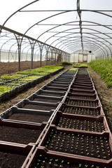 serre culture biologique