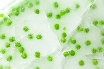 Green Peas in cracked frozen ice