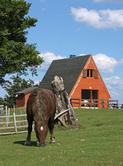 Plakat cheval devant chalet de montagne