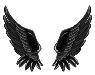 The wings of a fallen angel