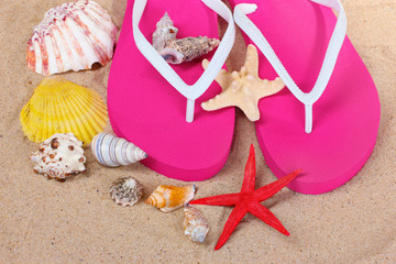 beach shoes, shells and starfish on sand
