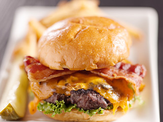Bacon cheeseburger shot with selective focus