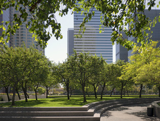 Urban Park 2
