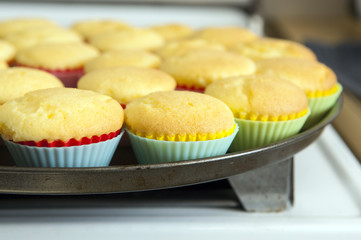 Cupcakes