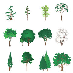 set of different tree