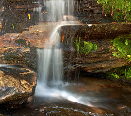Small, lush tropical waterfall