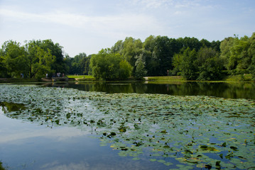 Пруд в парке Кузьминки летним днём