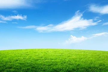 Fensteraufkleber field of grass and perfect sky © Iakov Kalinin