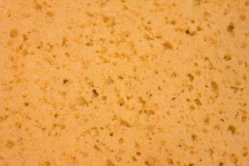 Dry yellow sponge background