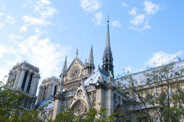 Fototapeta na wymiar Notre Dame de Paris, Paris, France