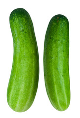Cucumber