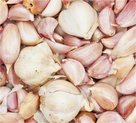 Garlic background