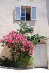 Fenêtre de Saint-Raphaël