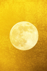 金屏風と満月