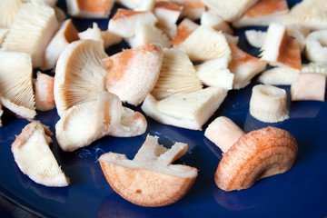 Sliced woolly milkcap mushrooms on plate