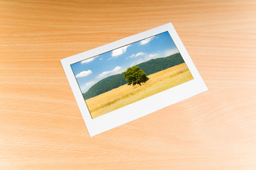 Picture frames with nature photos