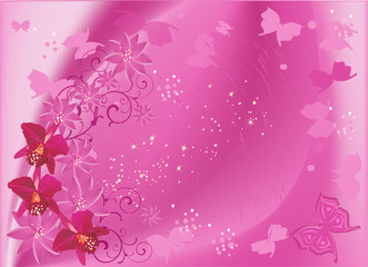 pink background with orchid flowers