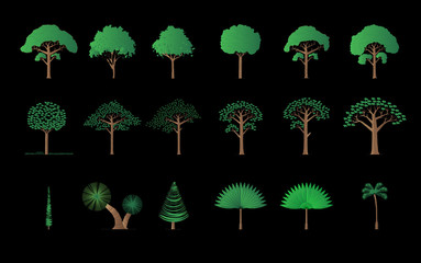 set of different trees, plam, pine..., vector