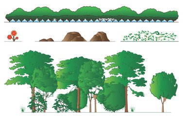 set of different trees...vector