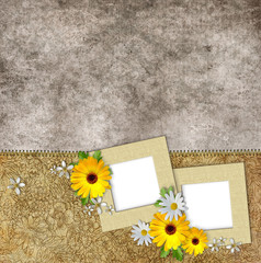 frames and flowers on vintage background