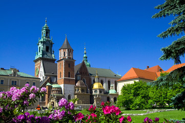Fototapeta Wawel - Krakau - Polen obraz