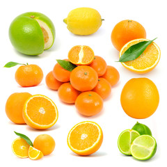 Citrus Fruit Set (Grapefruit, Lemon, Orange, Tangerine, Lime)