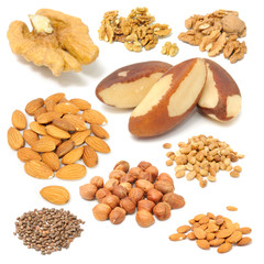 Nut Set (Walnut, Almond, Peanut, Hazelnut, Brazil and Pine Nut)