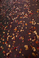 background[russet]_10