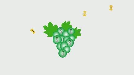 grapes