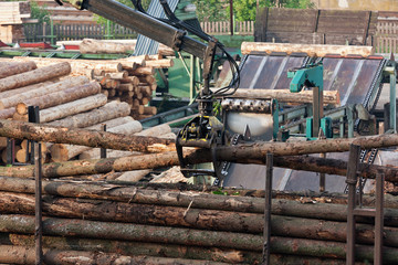 Loading of logs on transport