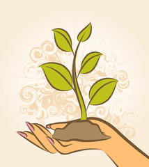 Human hand with a green plant