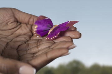 Black woman’s hands holding purple butterfly