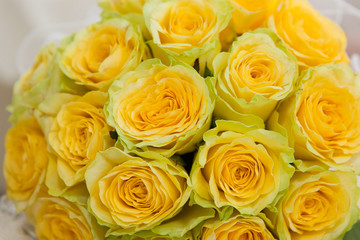 Bouquet from yellow roses close up.
