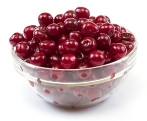 Bowl with ripe cherries. Isolated on a white background.