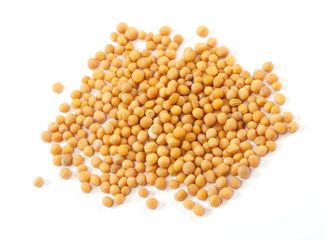 Yellow mustard seeds isolated on white background
