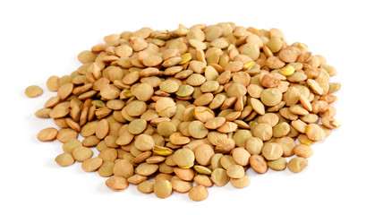 Brown lentils scattered on white background