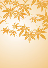 グラフィックパターン