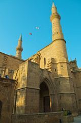 Fototapeta na wymiar Meczet Selimiye