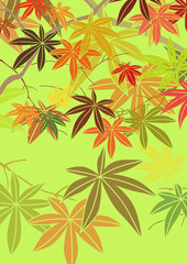 グラフィックパターン