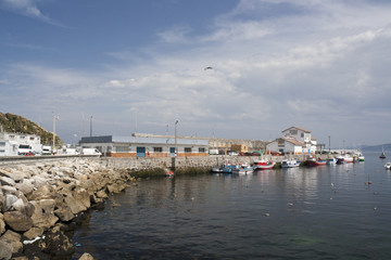 Fototapeta na wymiar Fishing port Malpica