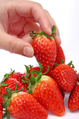 takeing stawberry