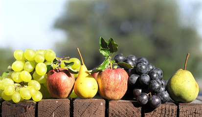 fresh fruits in the garden