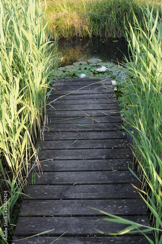 "Wassersteg, Steg, Teich, Gartenteich" Stockfotos und lizenzfreie